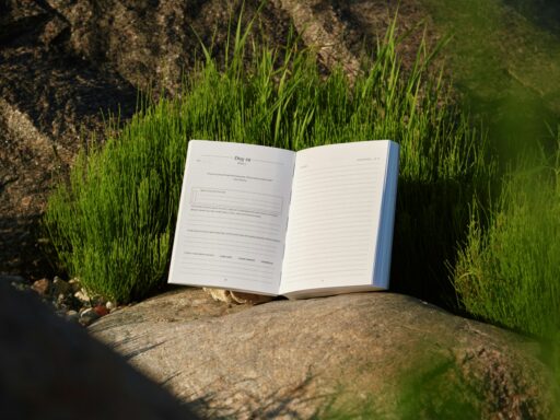 Open journal on rock in grassy setting