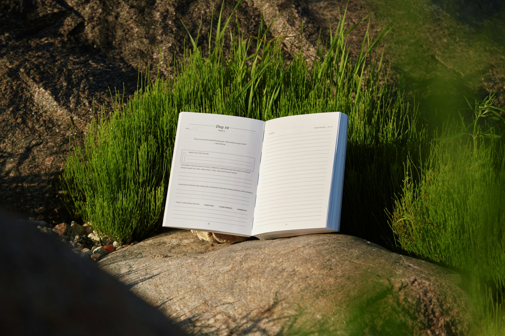 Open journal on rock in grassy setting