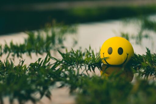 Yellow smiley face ball in grass near water.