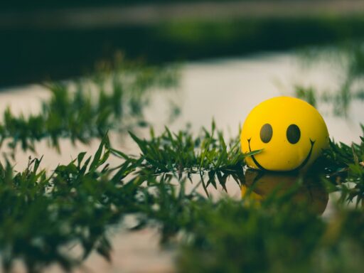 Yellow smiley face ball in grass near water.